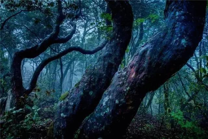 【夢想聚團隊 團隊創(chuàng)輝煌】西微雅團建活動——長白山之旅(圖13)