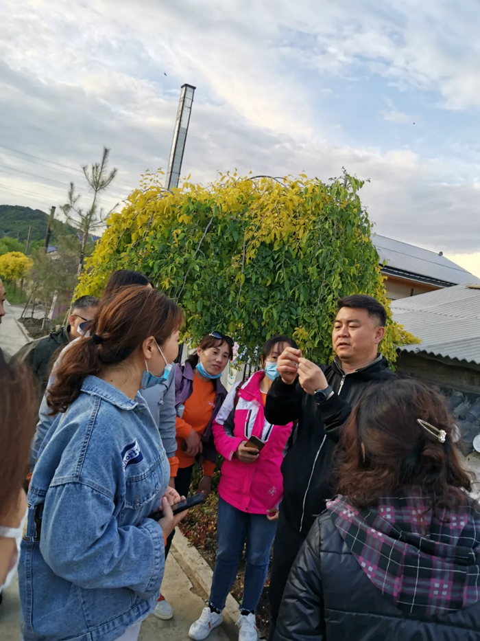 【夢想聚團隊 團隊創(chuàng)輝煌】西微雅團建活動——長白山之旅(圖17)